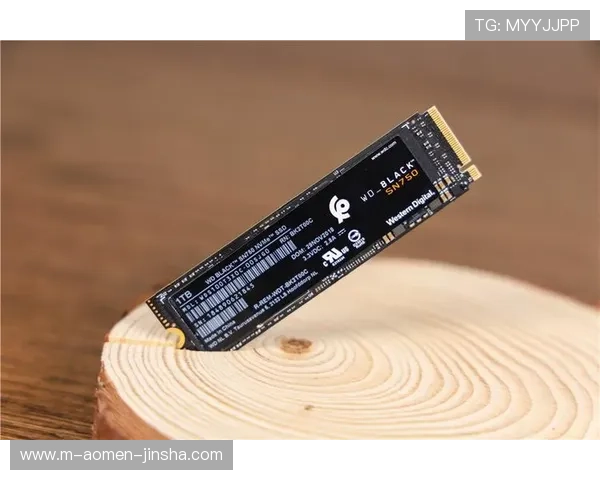 9170金沙官网登录网址推荐,确保账号安全与游戏数据完整保障